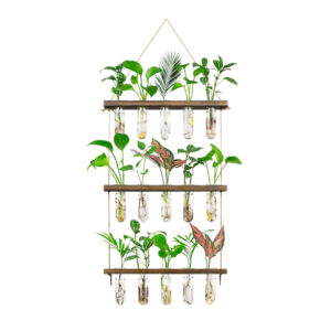 3-Tier Wall-Hanging Propagation Station.