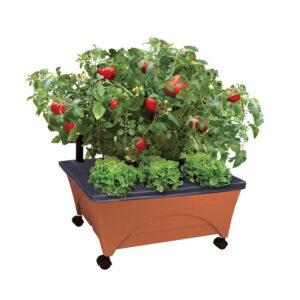 Raised Bed Self Watering Grow Box and Planter